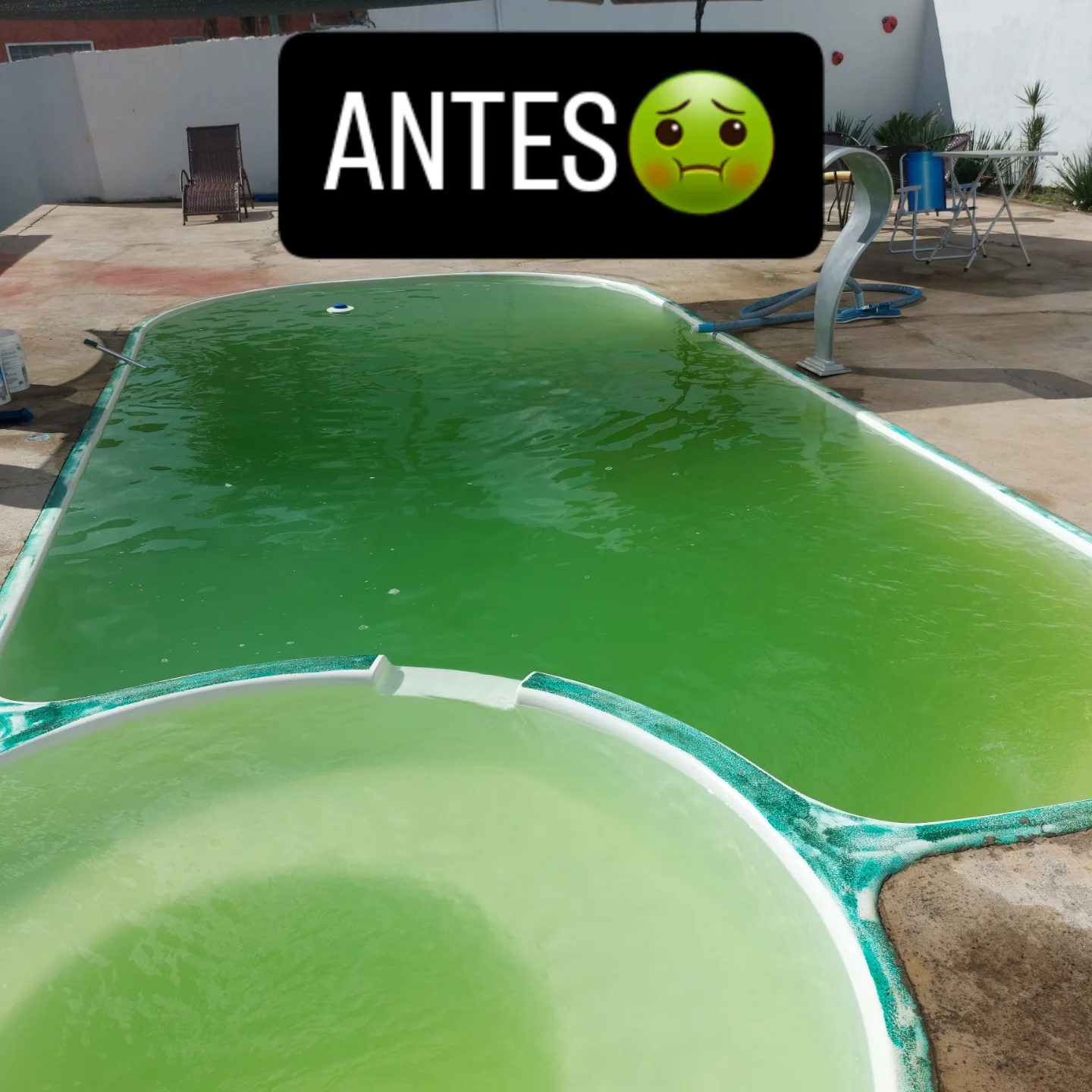 Antes da limpeza - Piscina com água verde no Lago Sul